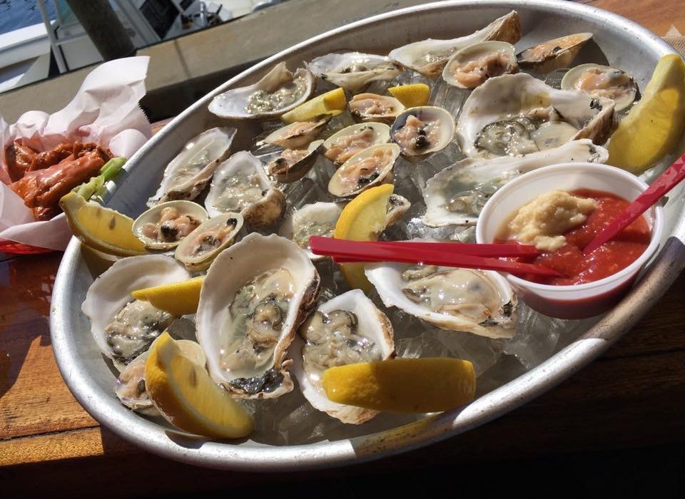 Martha's Vineyard Oysters