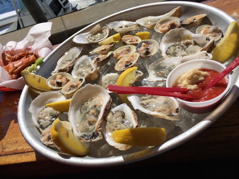 Martha's Vineyard Oysters