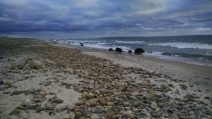 Martha's Vineyard Beach