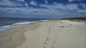 Long Point Beach, Martha's Vineyard