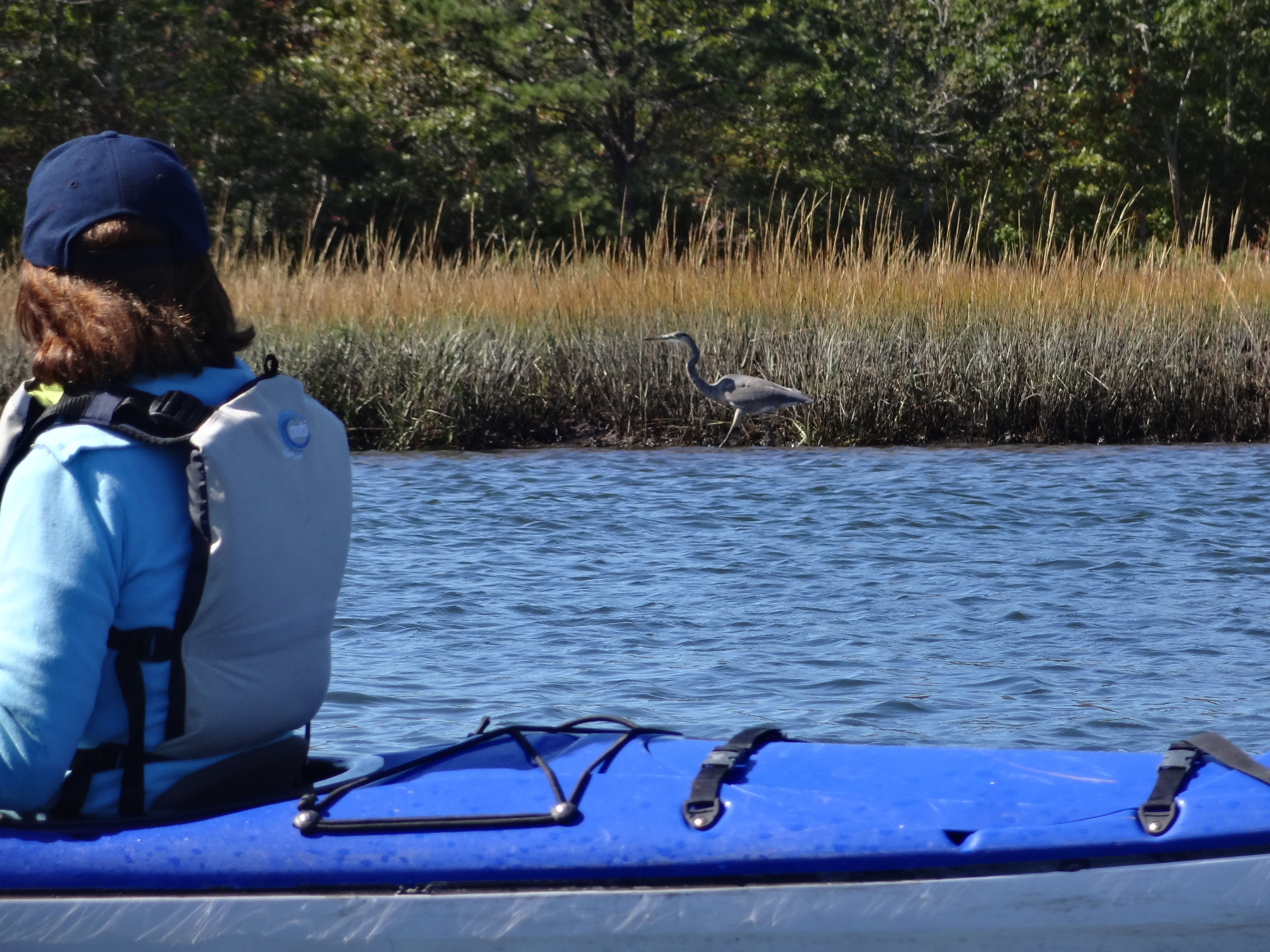 Kayaking MV