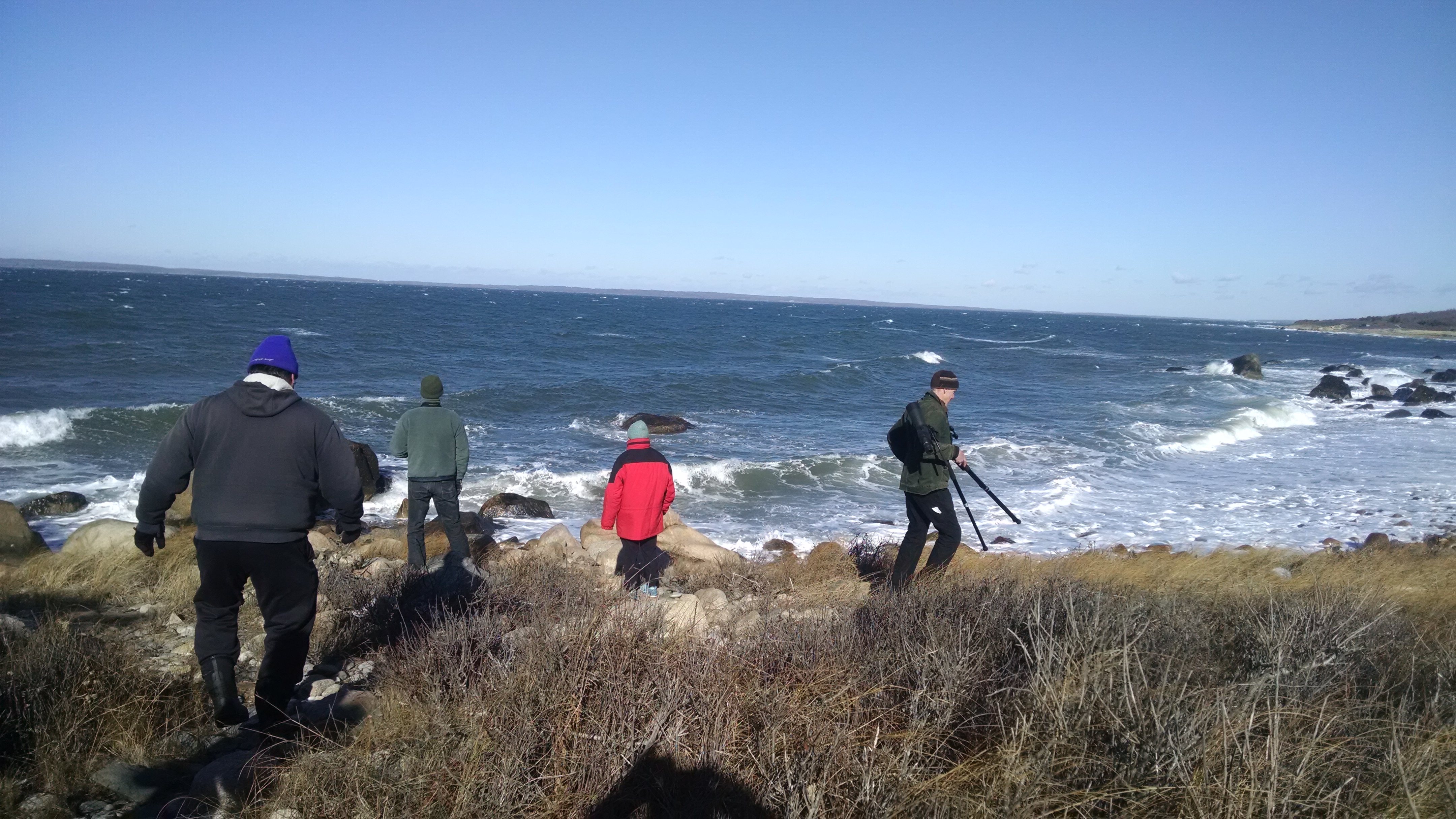 Bird Count 2016 Martha's Vineyard