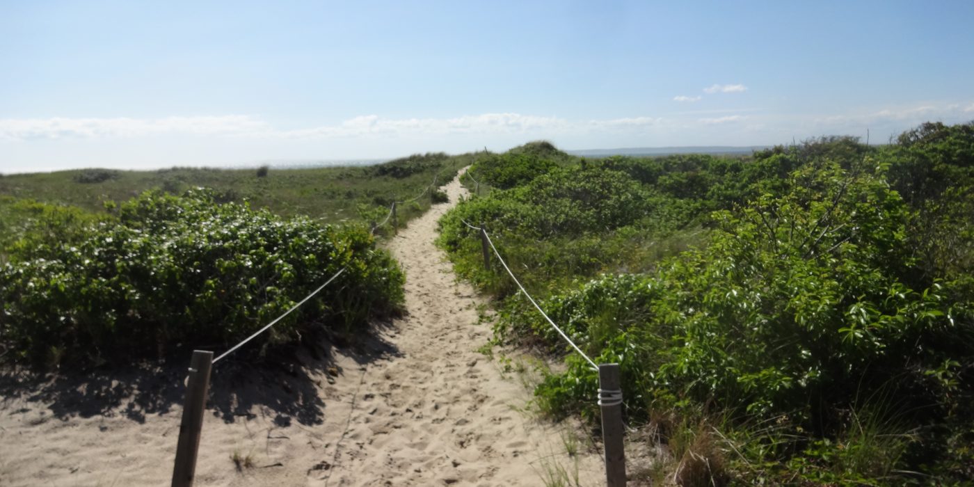 Martha's Vineyard Beach