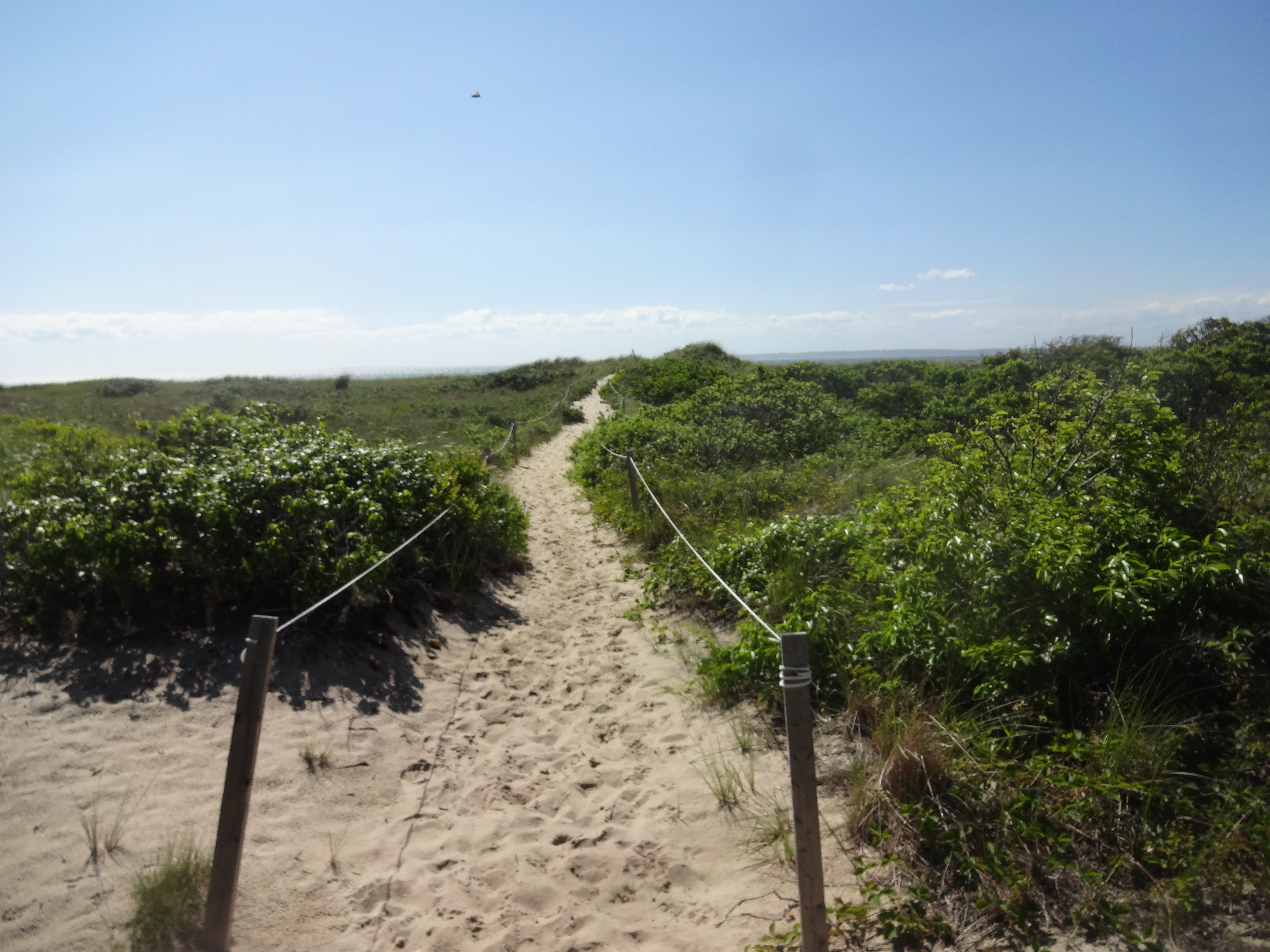 Martha's Vineyard Beach