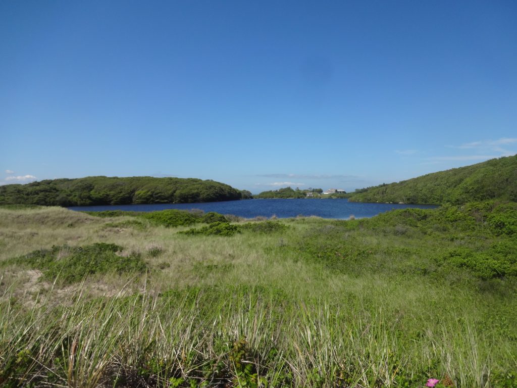 Cedar Tree Neck Pond