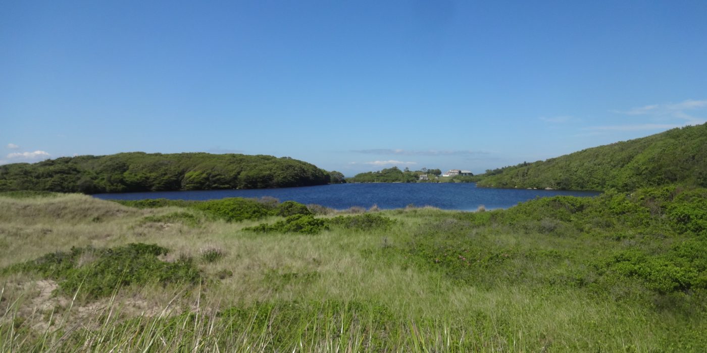 Cedar Tree Neck Pond