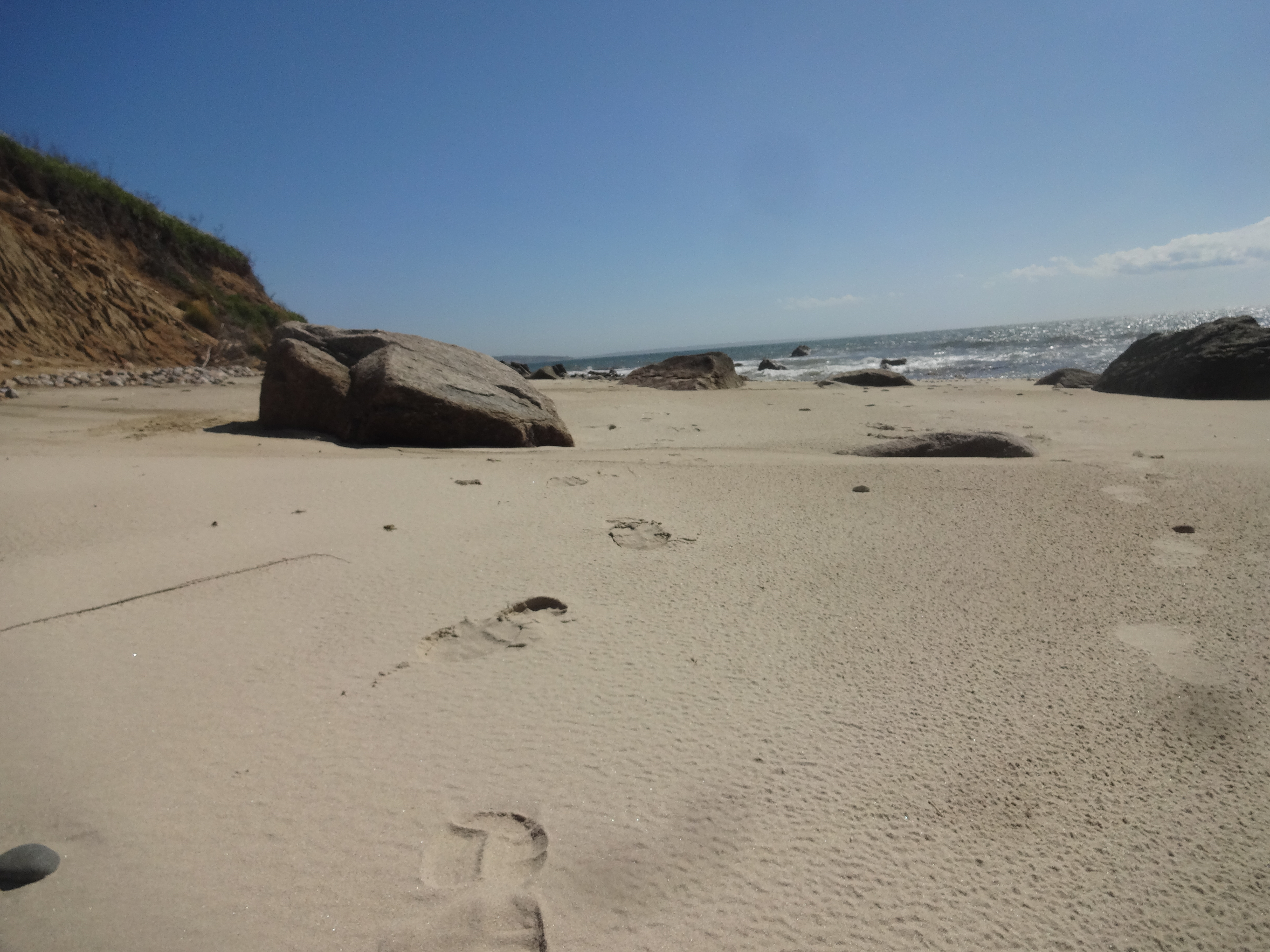 Beach on Martha's Vineyard