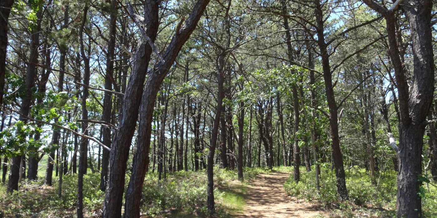 Hiking Martha's Vineyard