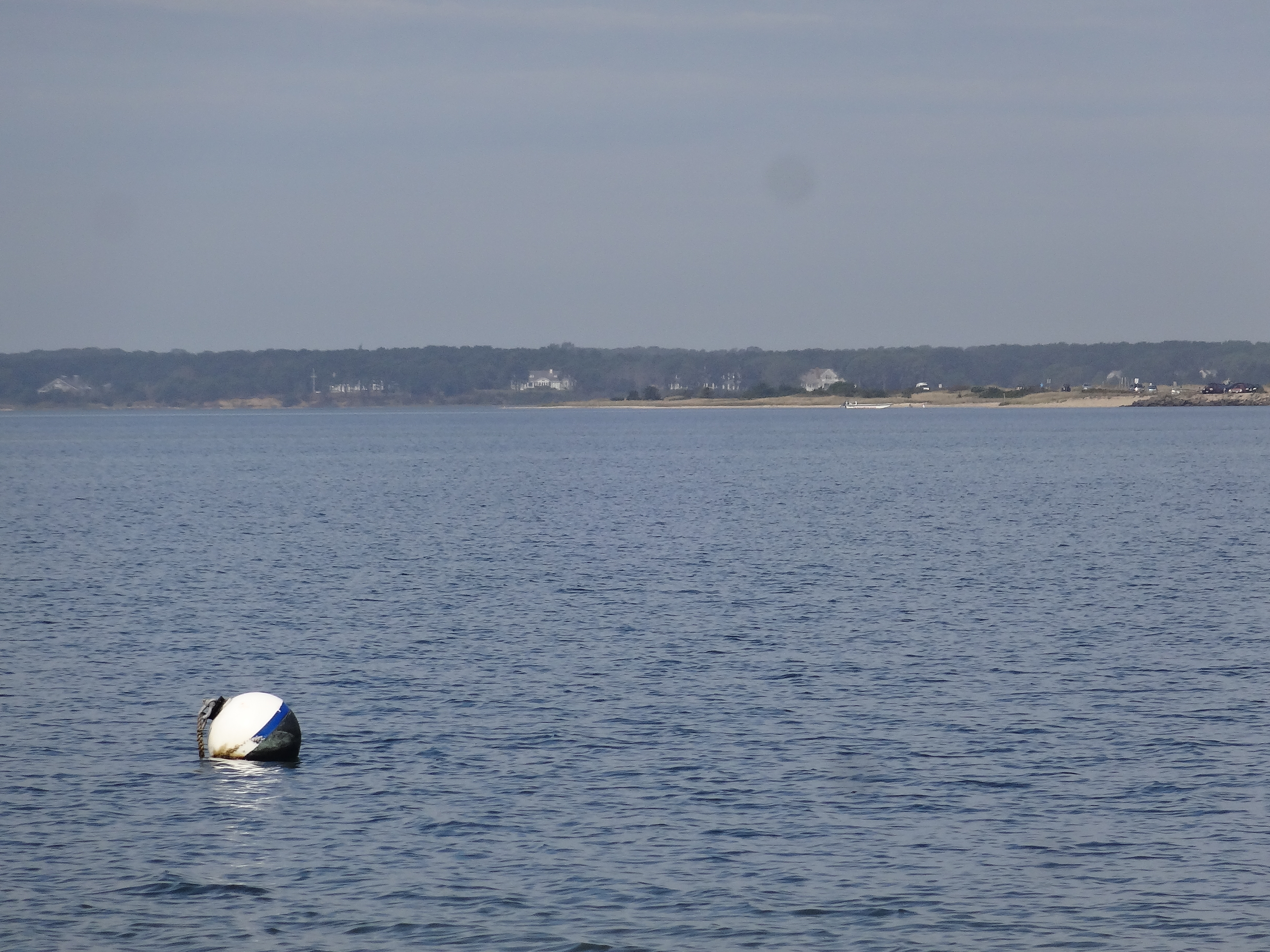 Edgartown Hikes