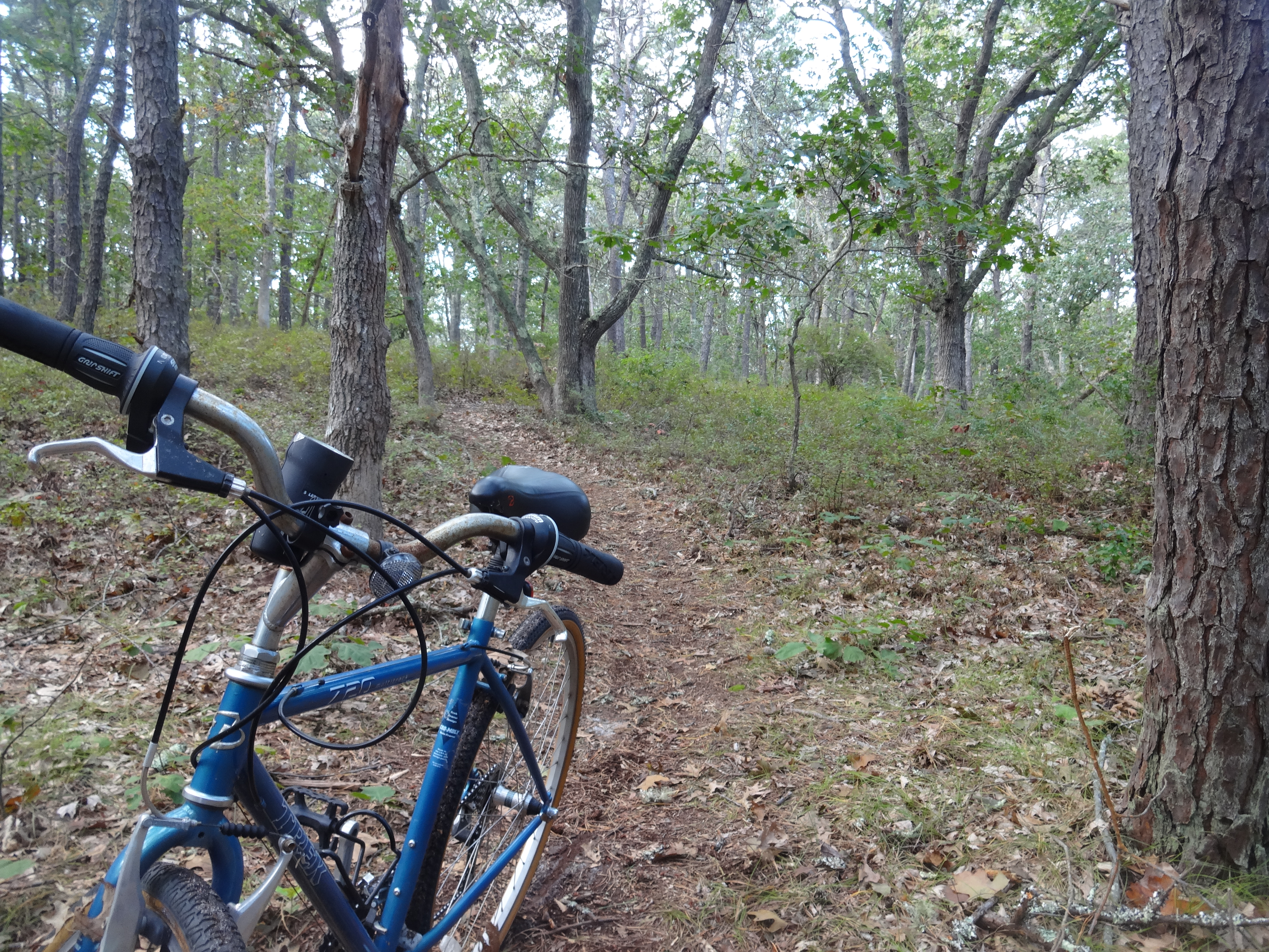 Martha's Vineyard Mountain Biking