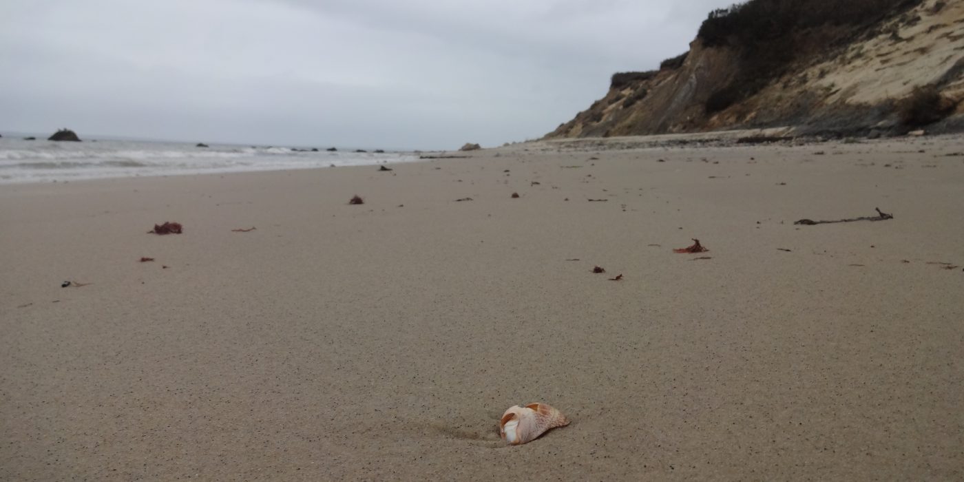 Martha's Vineyard Beach