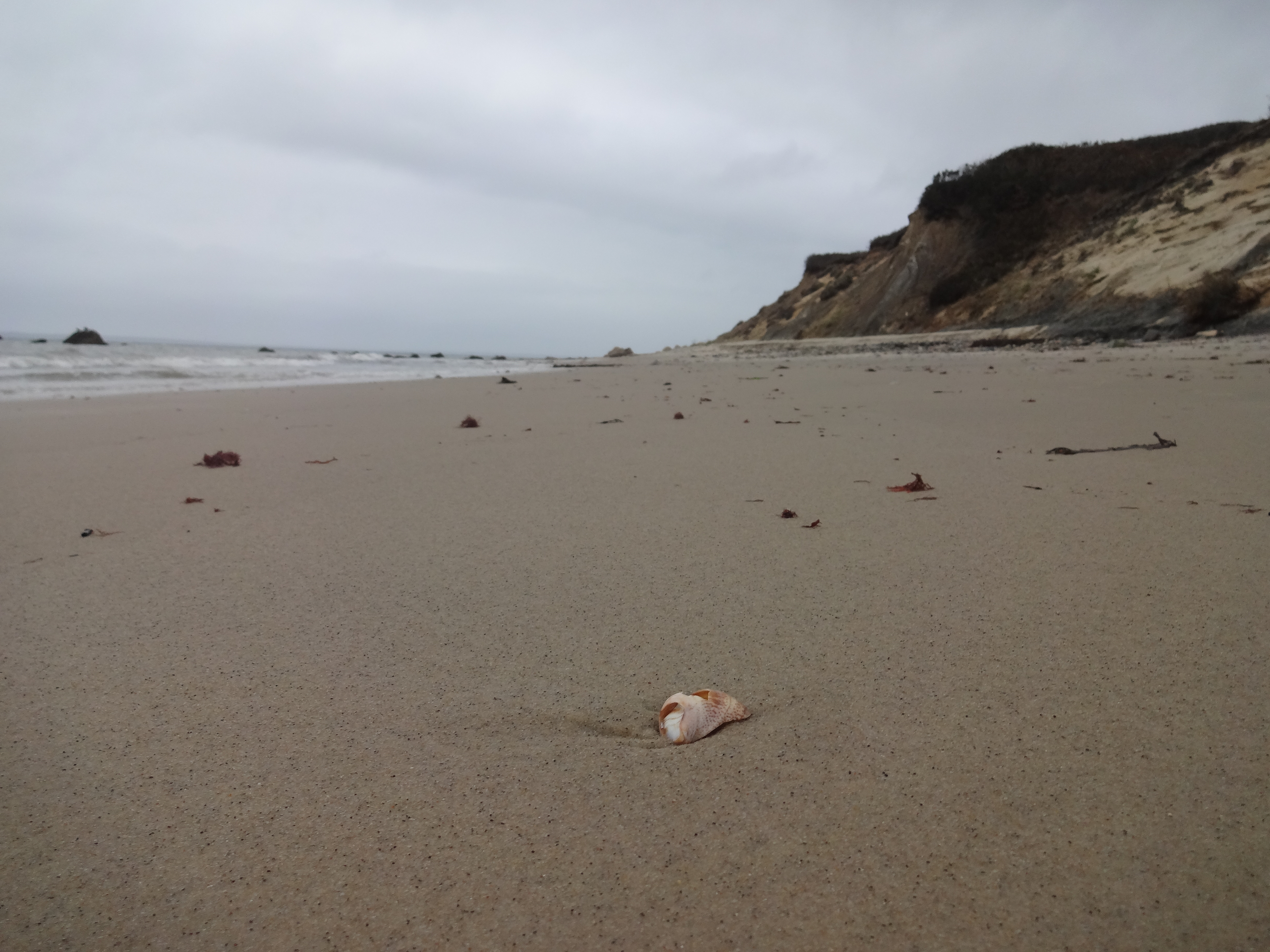 Martha's Vineyard Beach