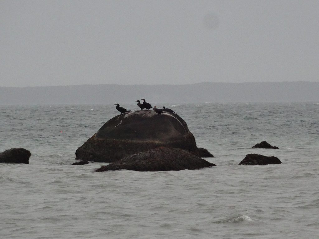 Great Rock Bight Beach