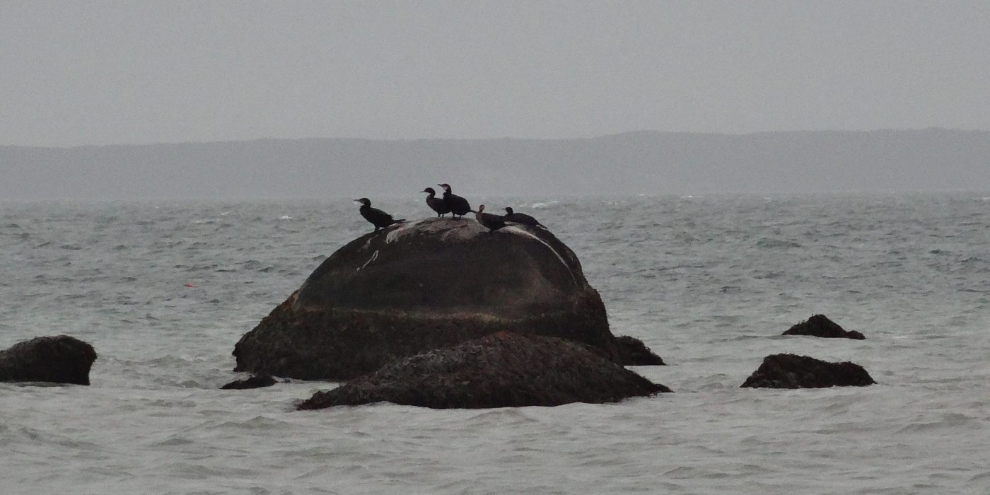 Great Rock Bight Beach