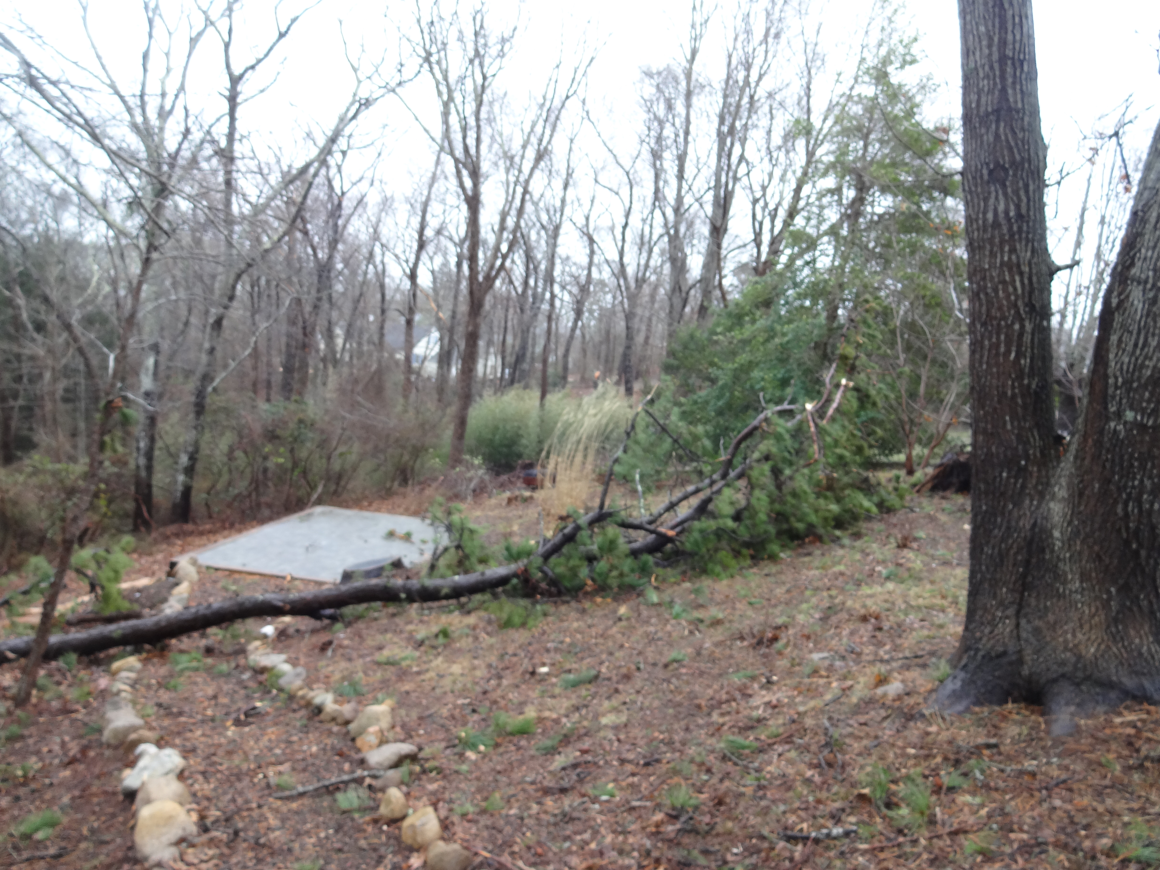 New England Storm