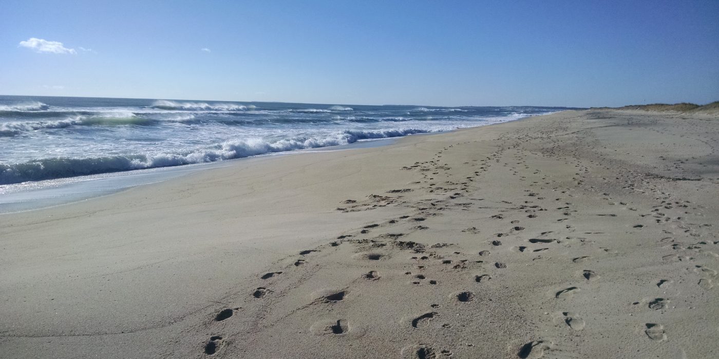 Martha's Vineyard Beach