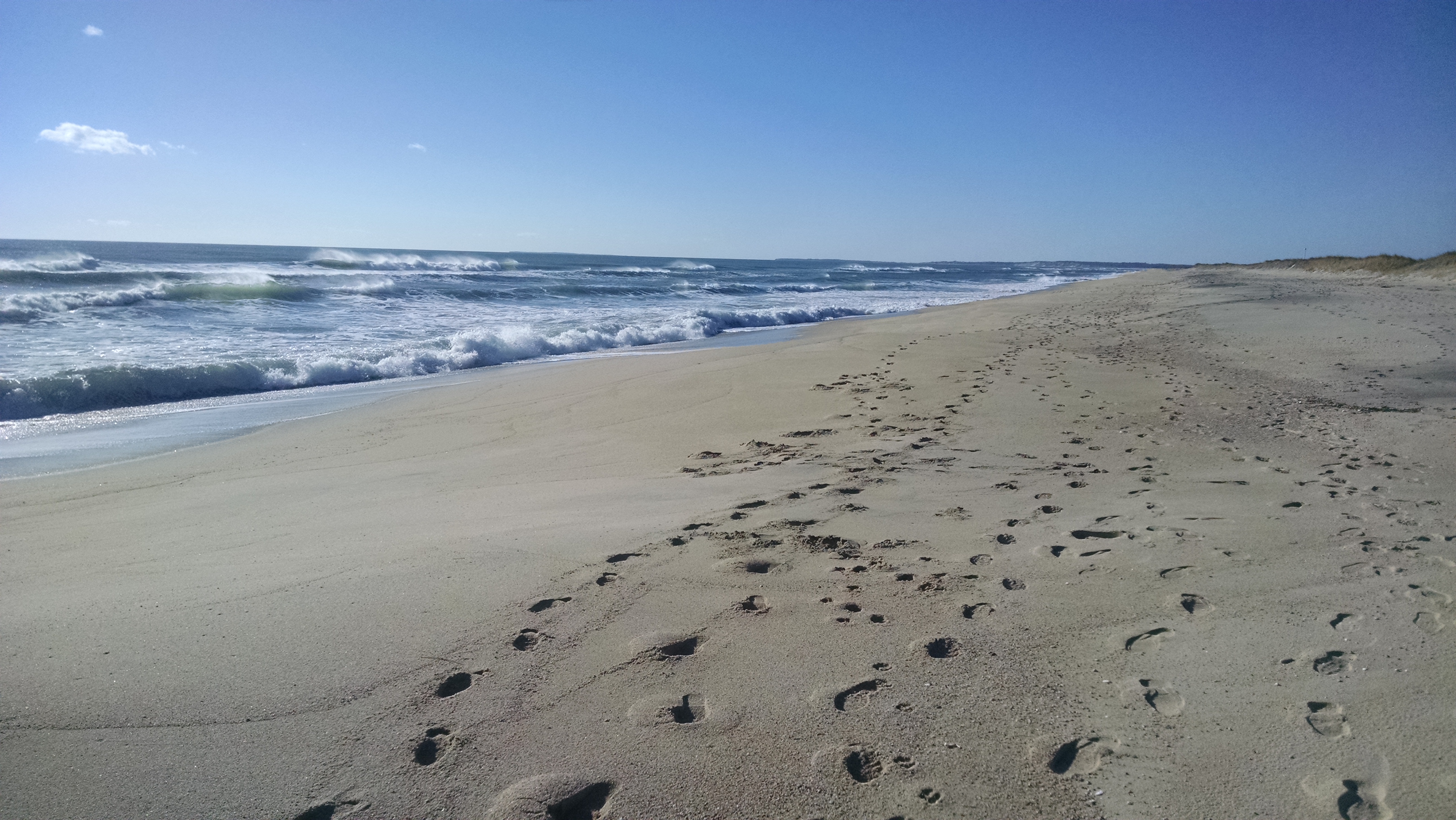 Martha's Vineyard Beach