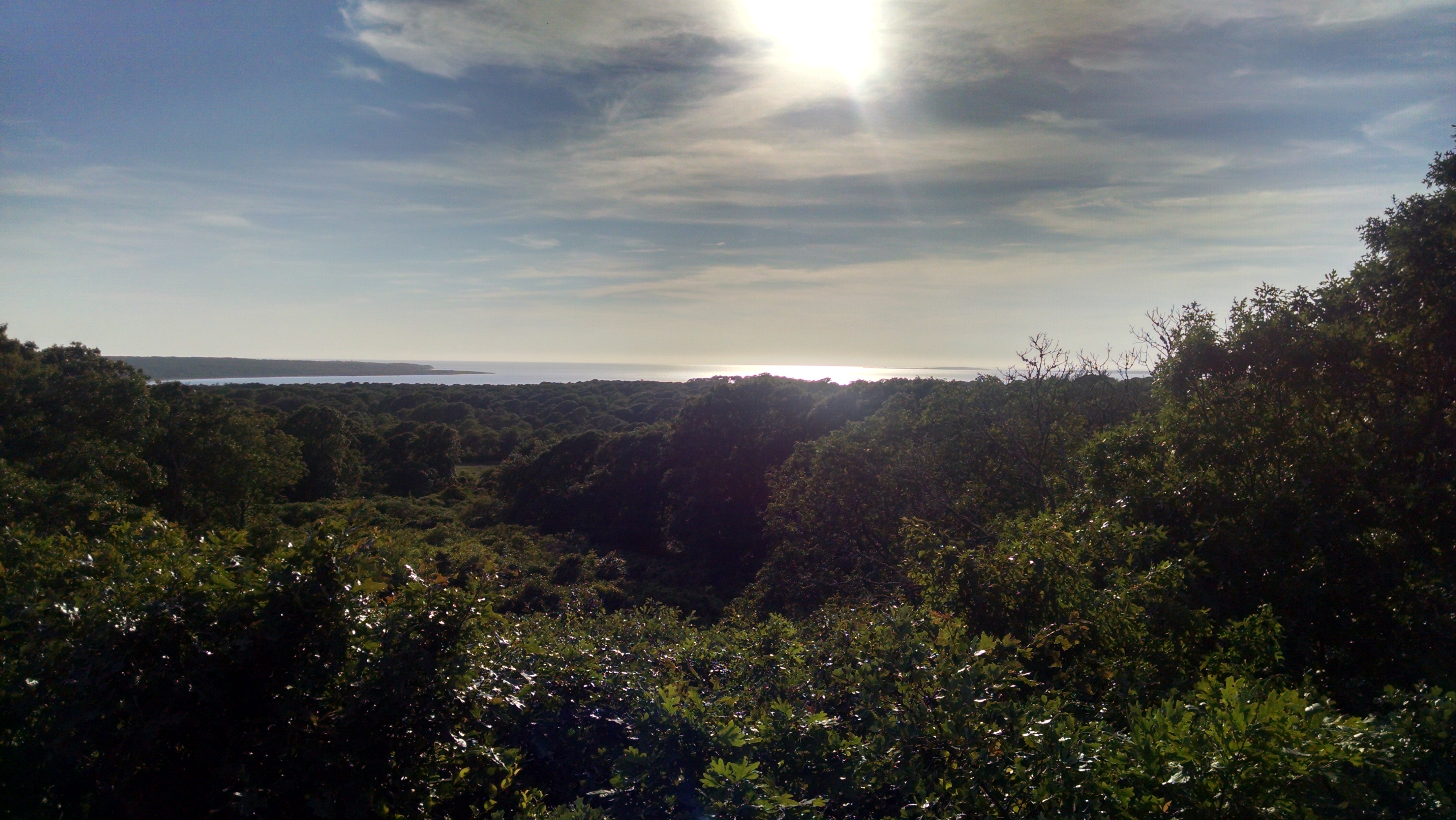 Menemsha Hill View