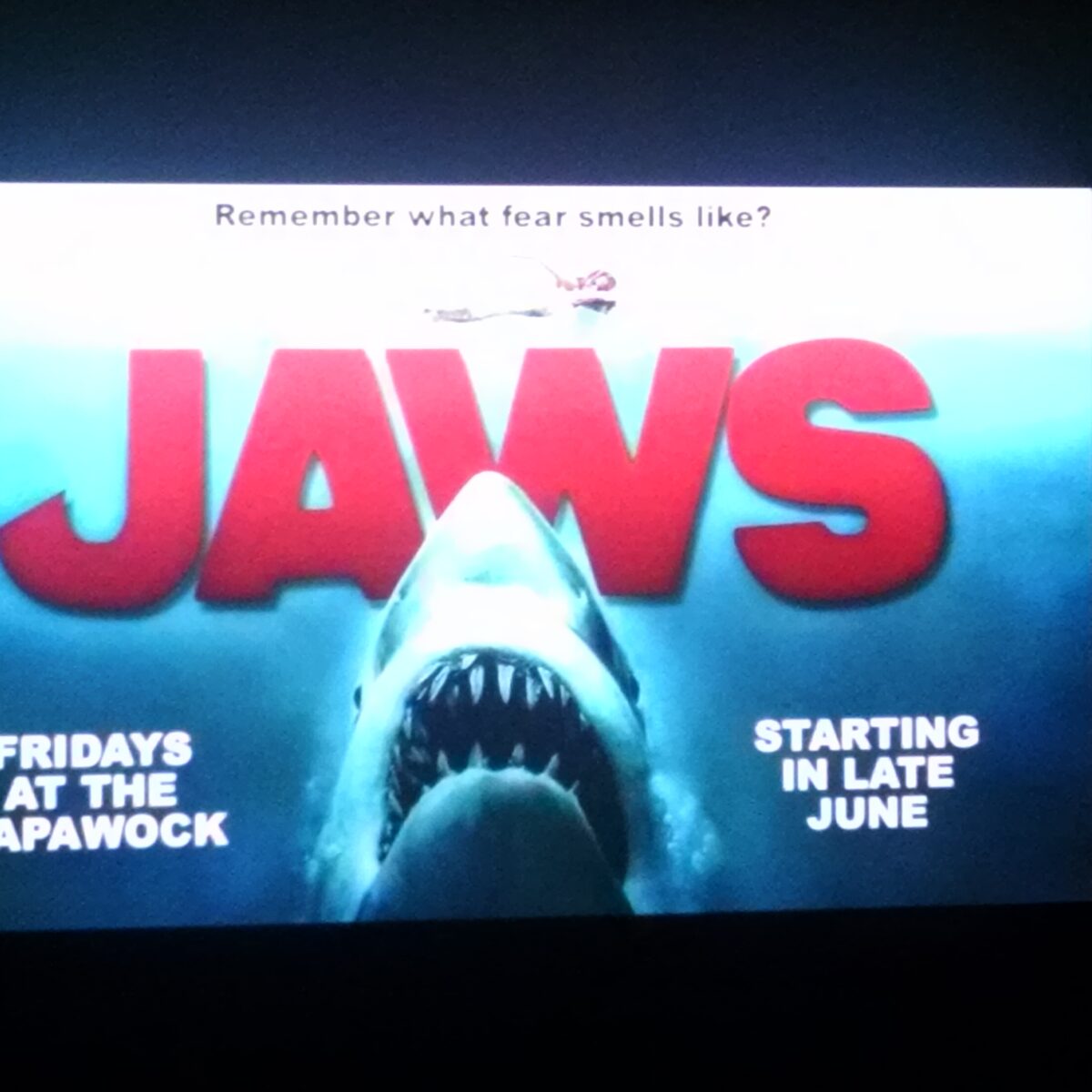 Where On Martha S Vineyard Was Jaws Filmed The Nobnocket Boutique Inn