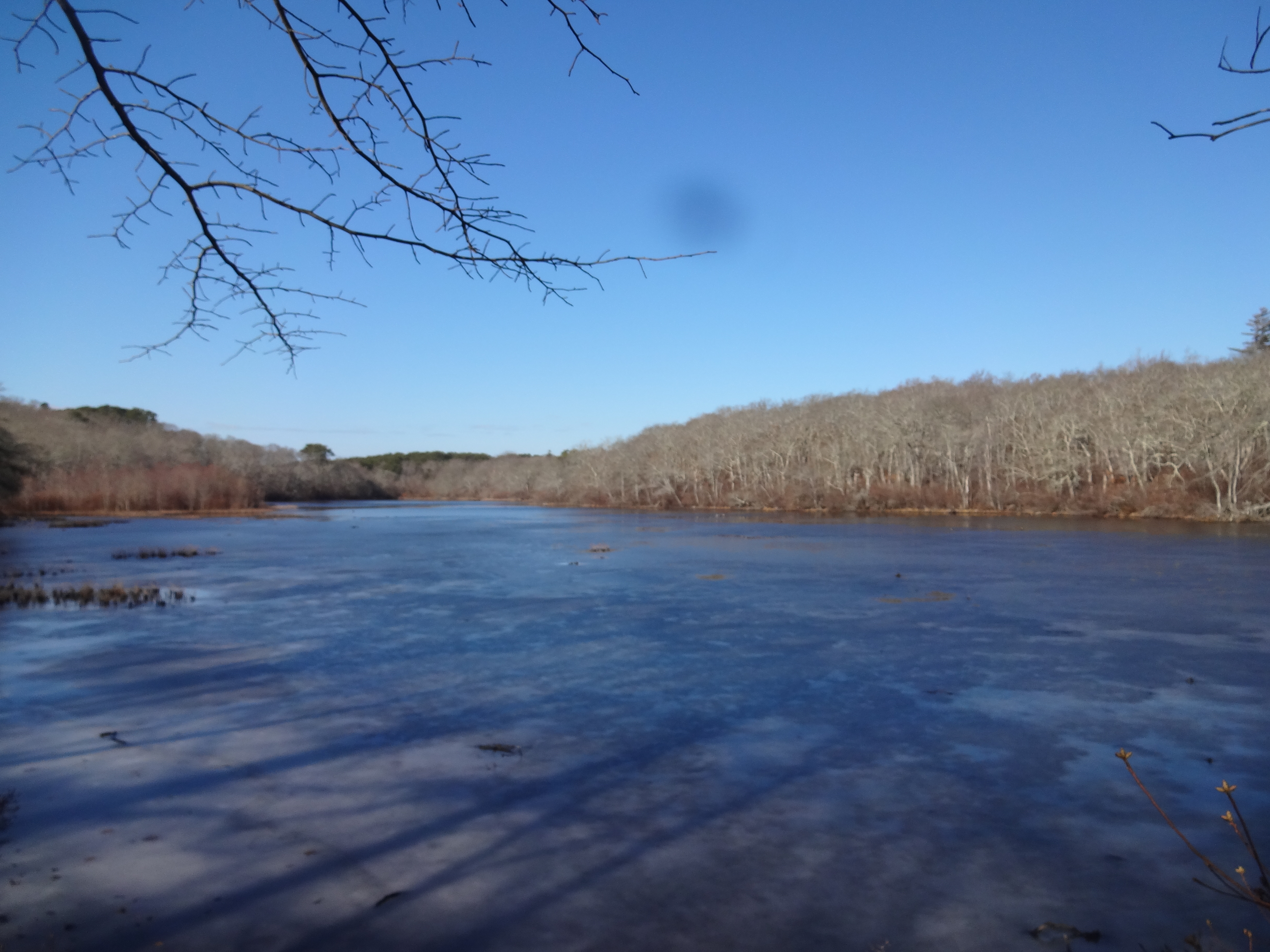 Southern Duarte's Pond in Winter