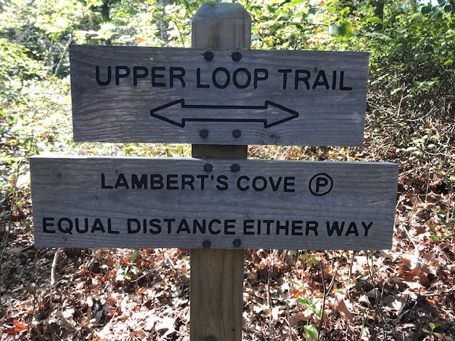Wooden Trail Sign