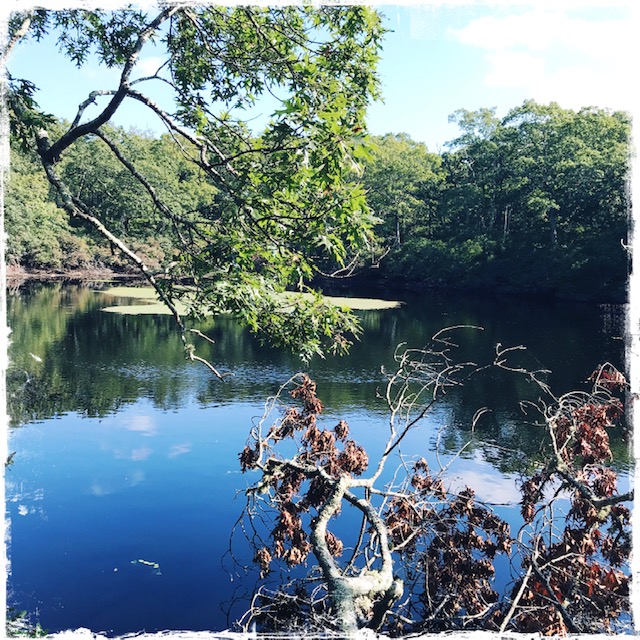 View of Rainwater Pond