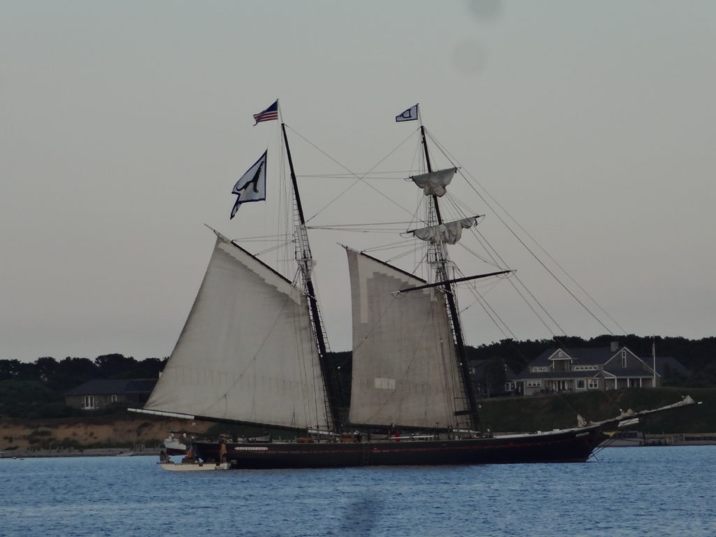 Black Dog Tall Ship Sailing