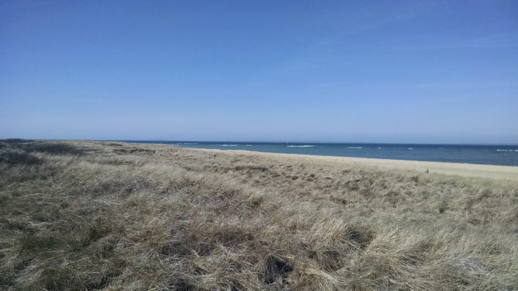 East Beach on Chappaquiddick