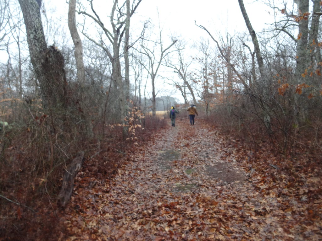 Martha's Vineyard Birders on Trail