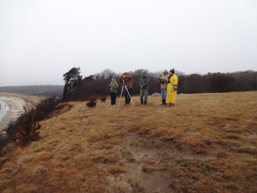 Group of Martha's Vineyard Birders