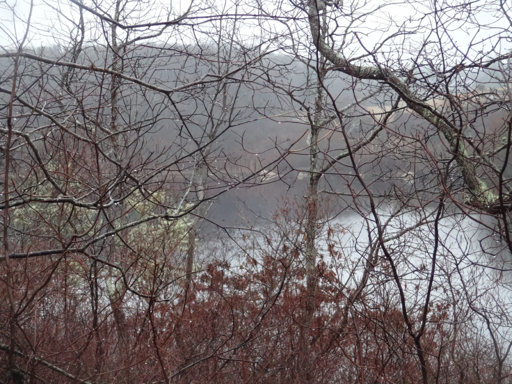 Grey Pond at Seven Gates Farm