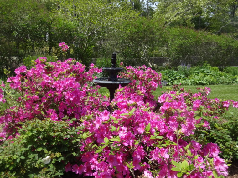 Outdoor Fountain and Flowers