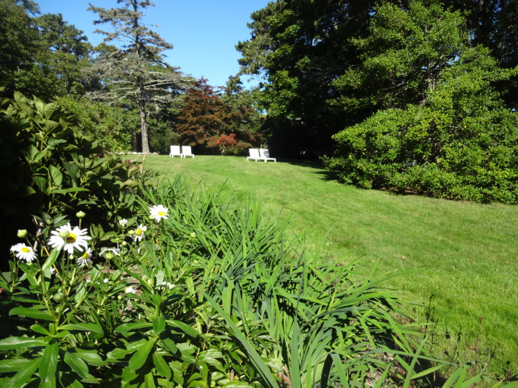 Lawn From Patio