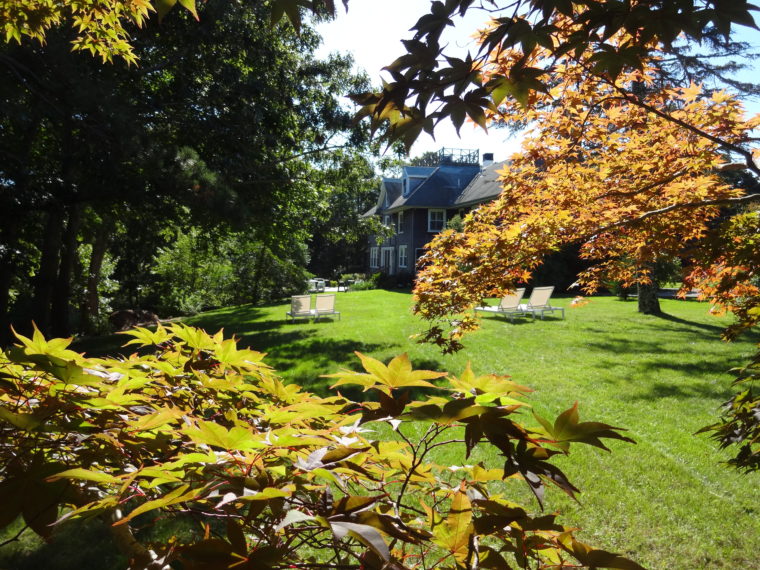 Long View Of Lawn with Fall colors