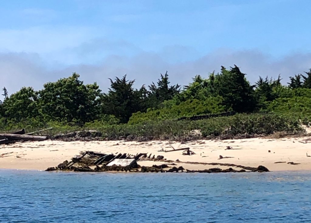 Orca Boat Remains On Shore