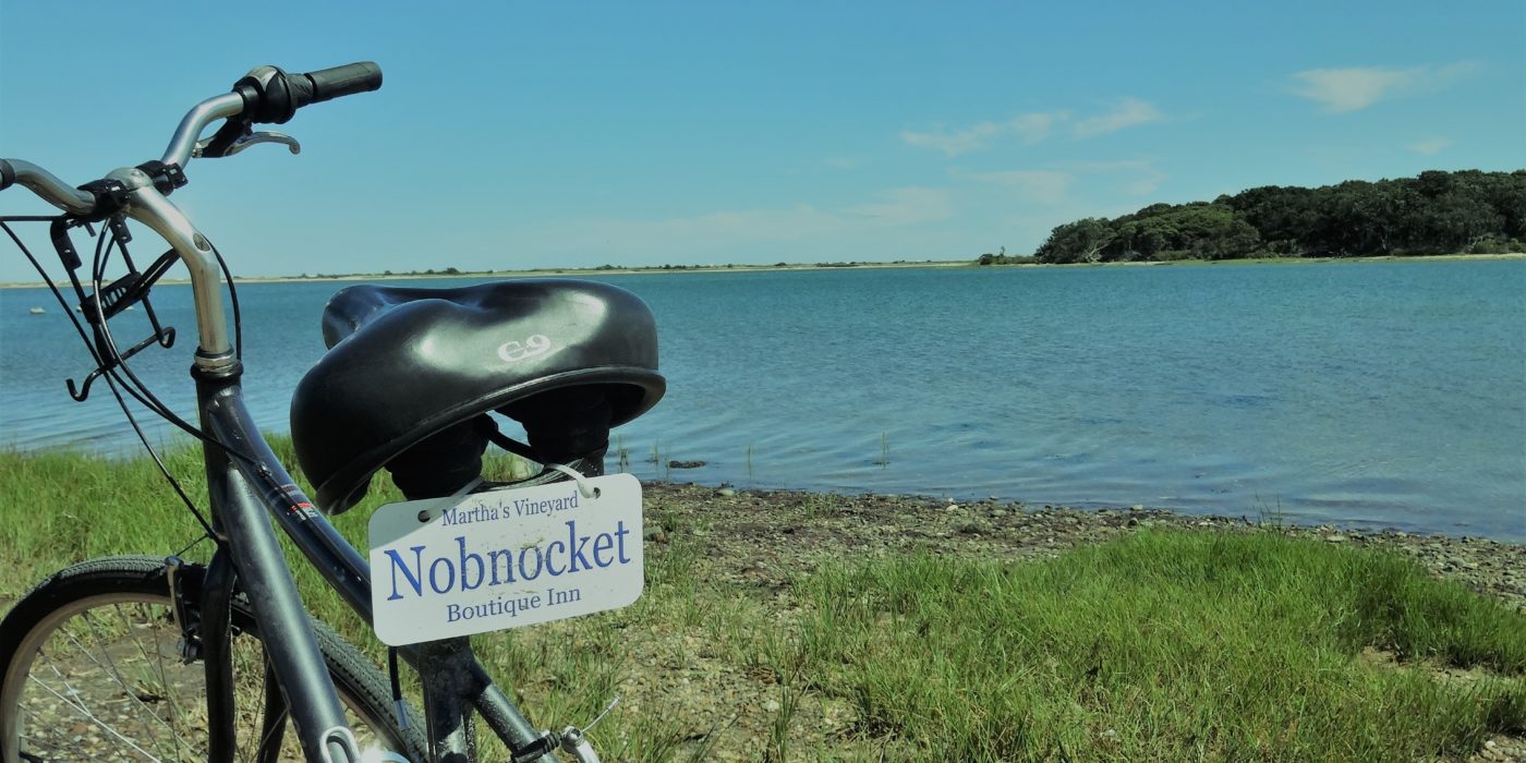 Bike at Pecoy Point