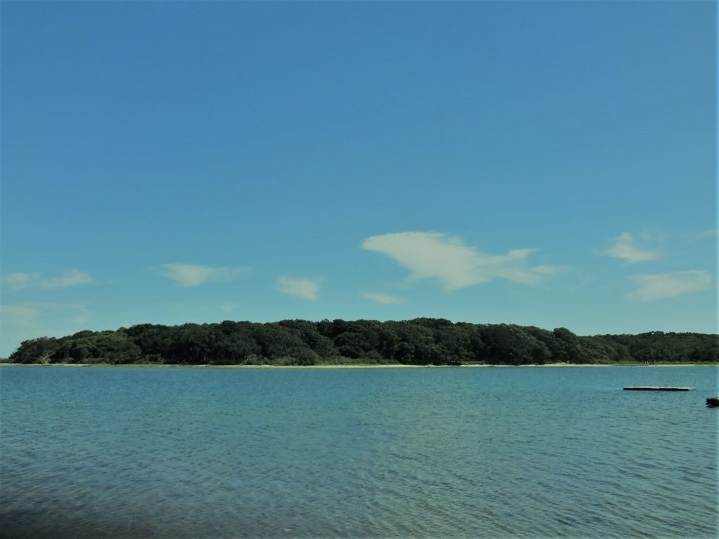 View of Felix Neck