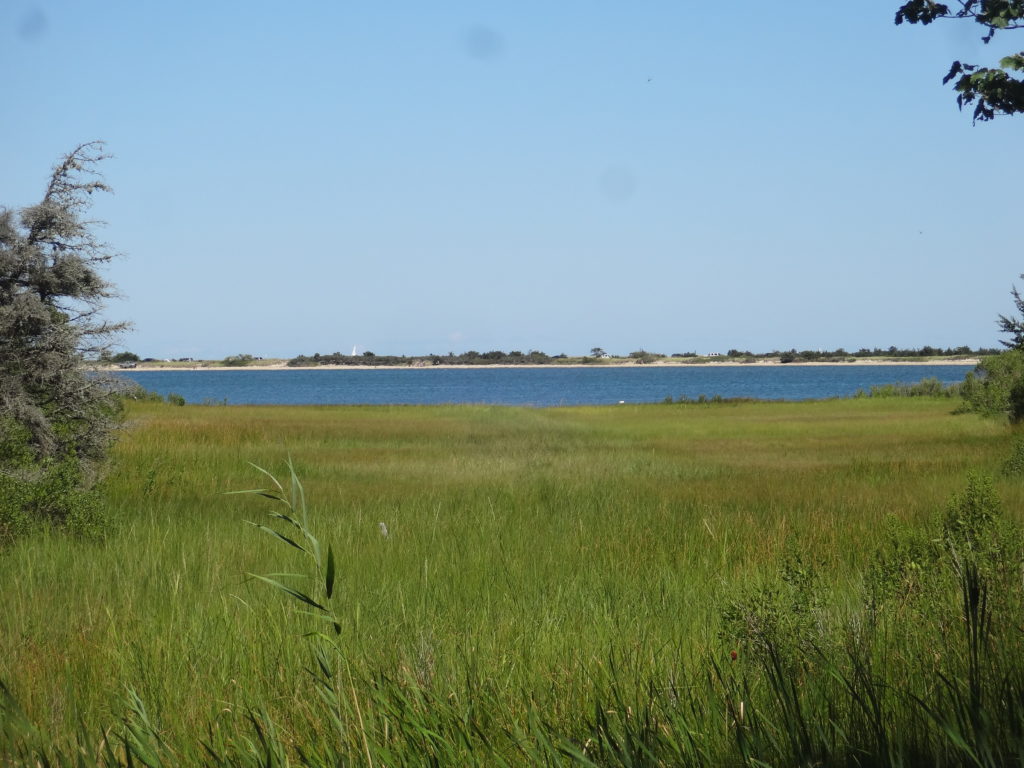View Across Marshes