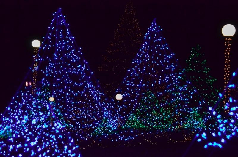 Christmas Lights Oak Bluffs