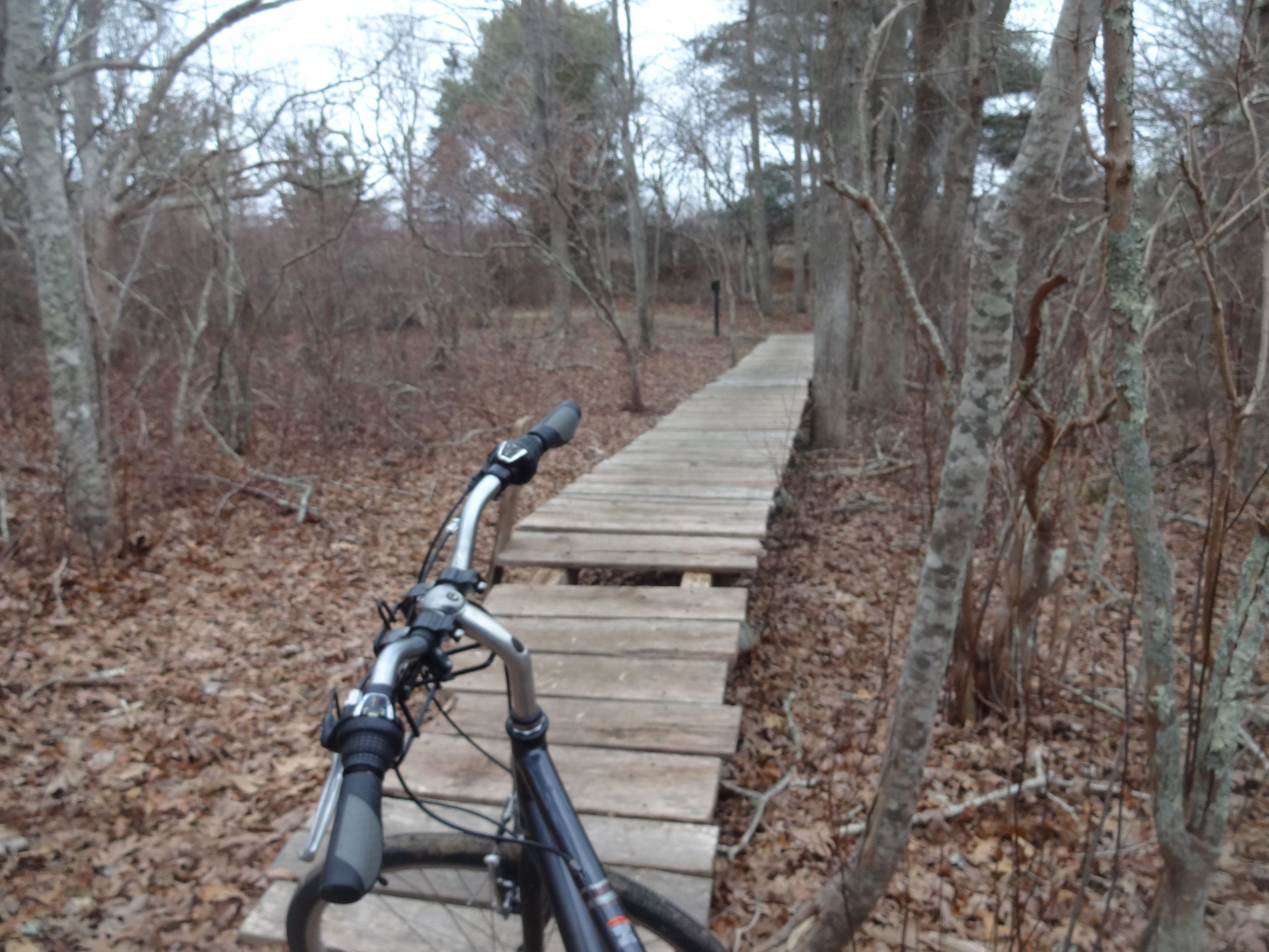 Boardwalk and Bike