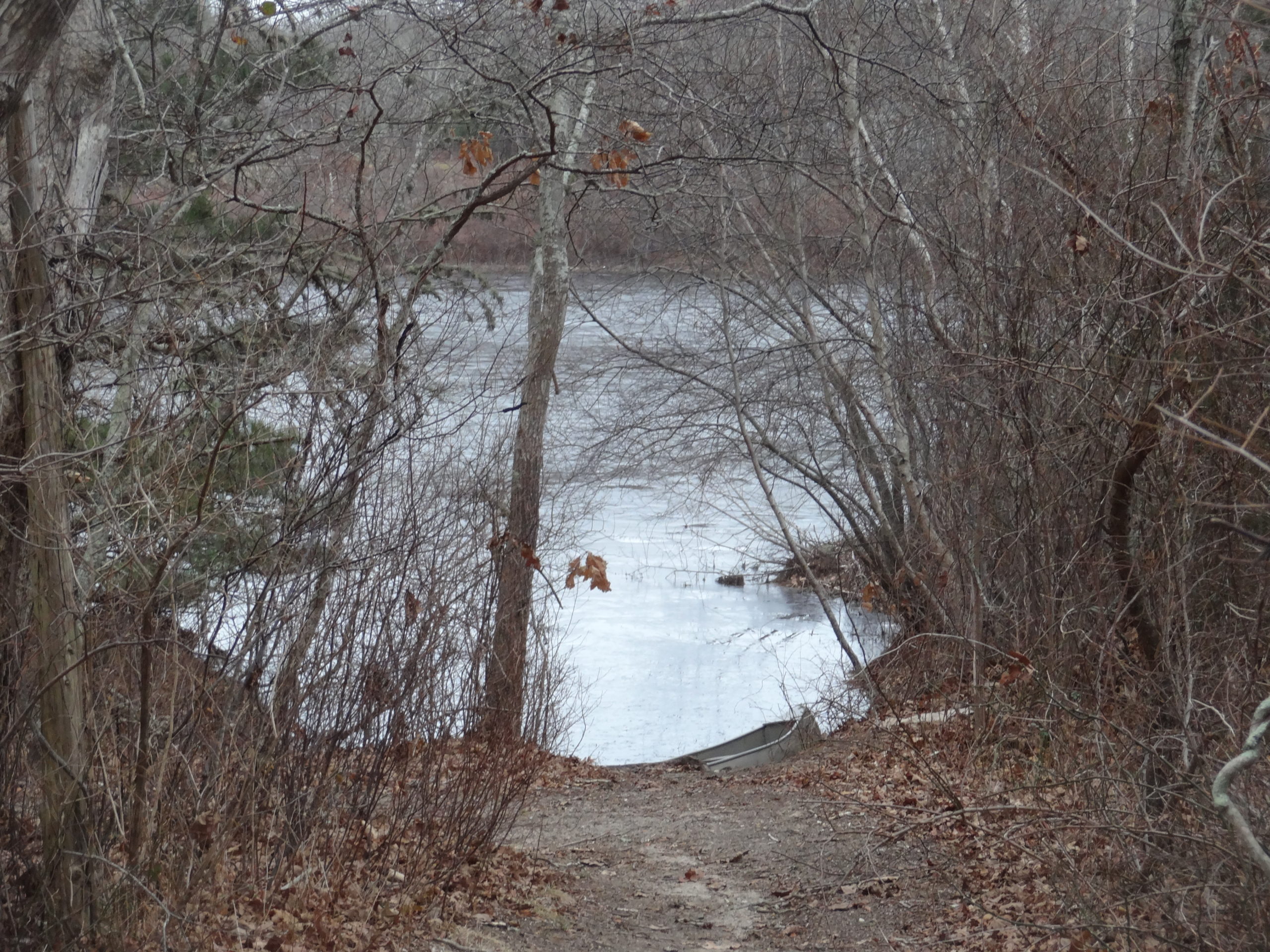 View Across Pond