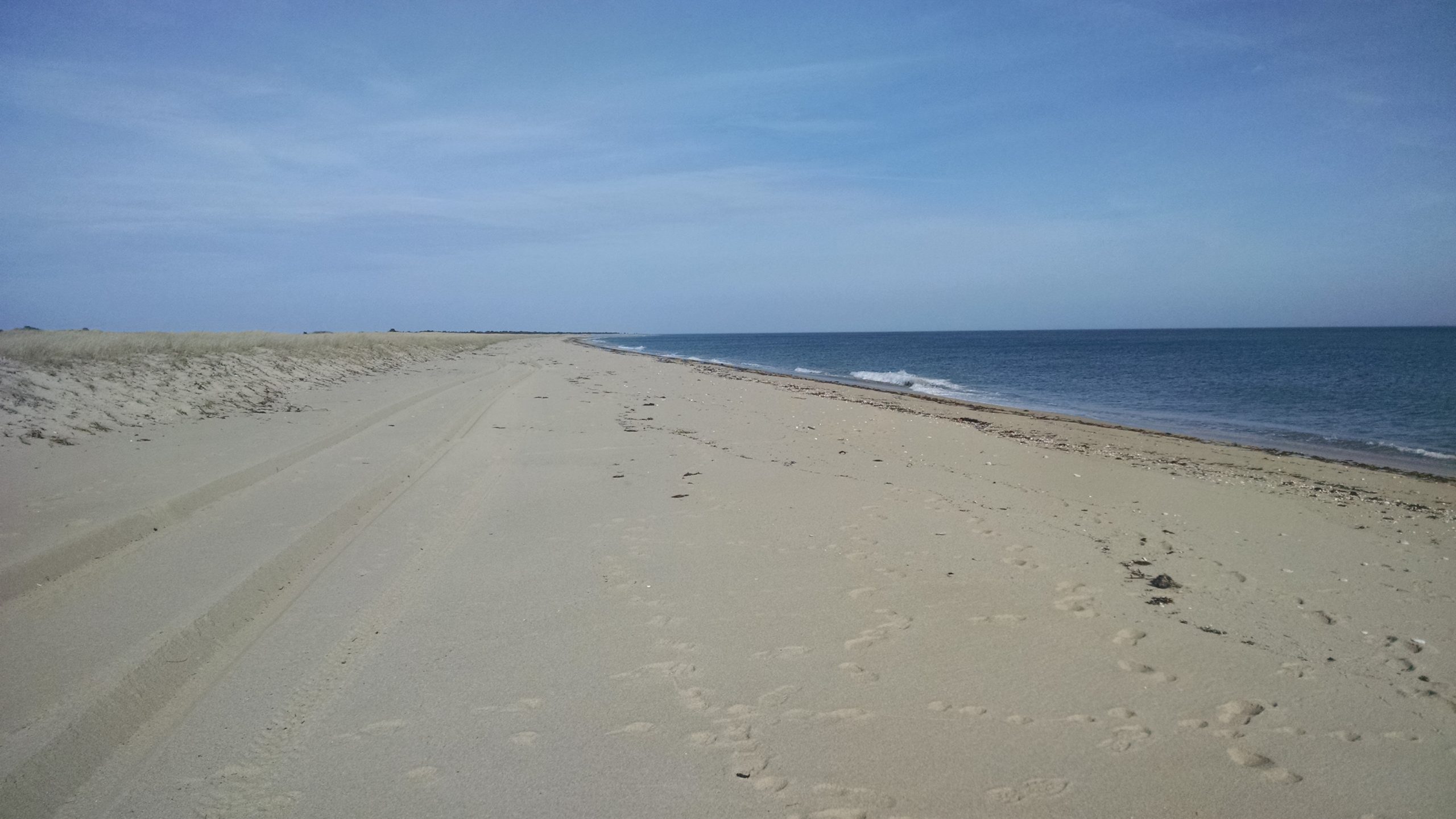 View at East Beach