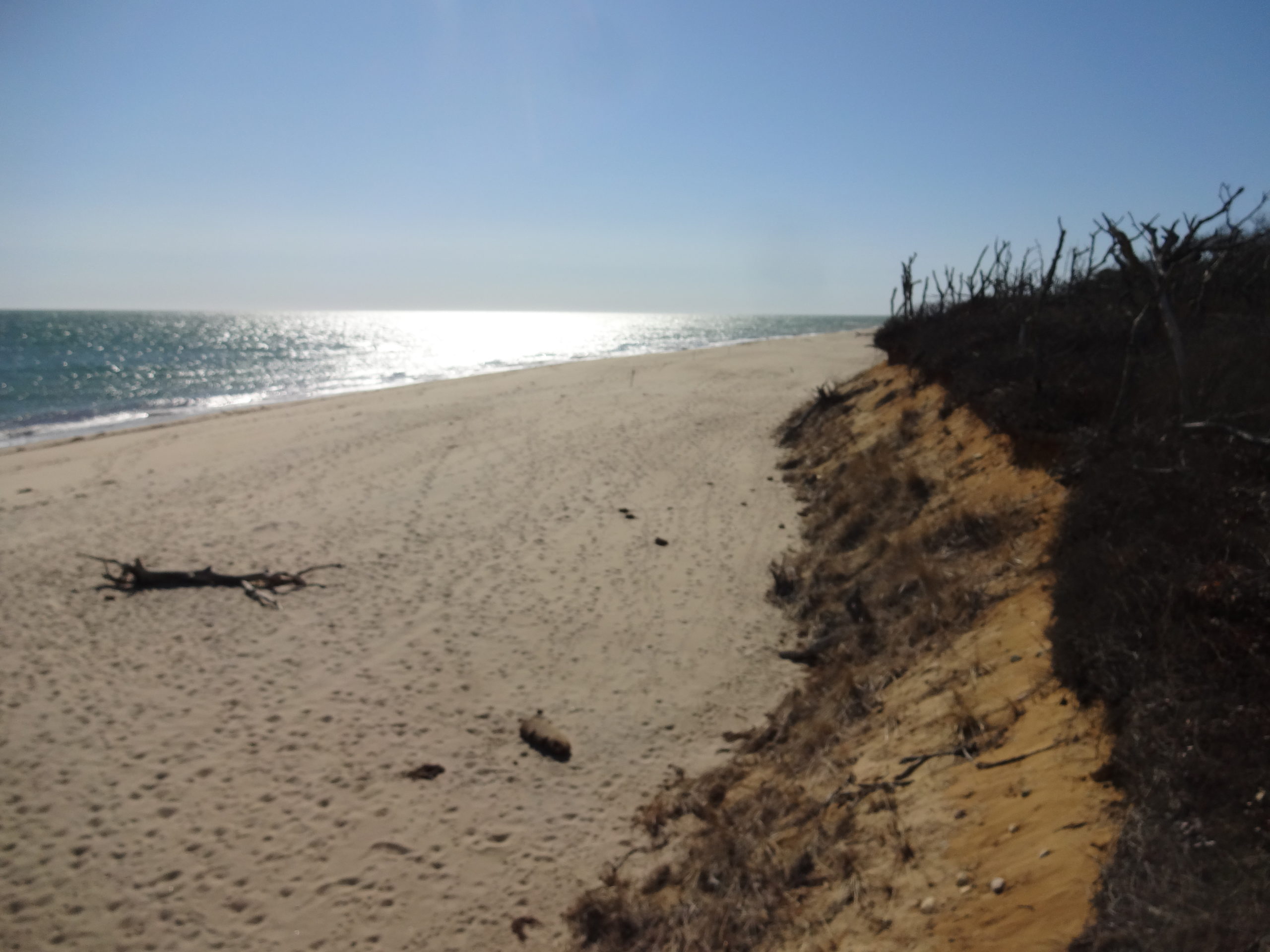 Wasque Beach Looking West