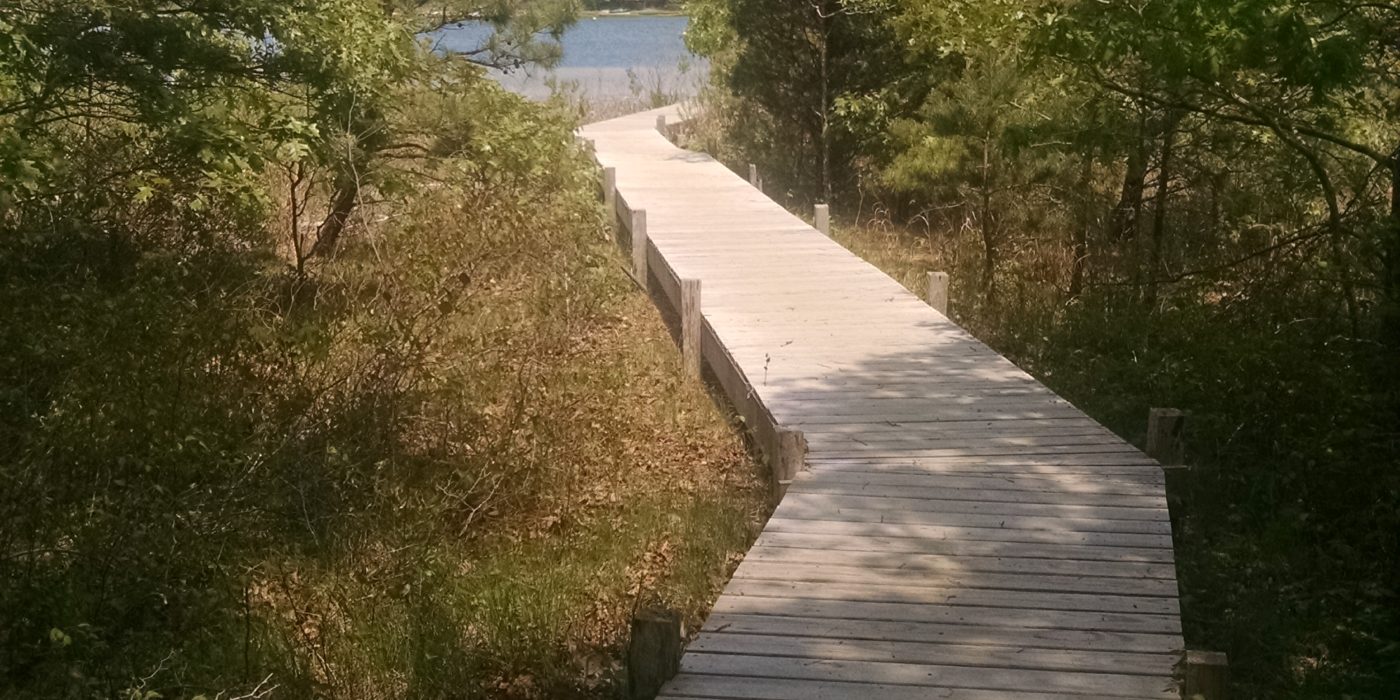 Boardwalk to Hillmans Point