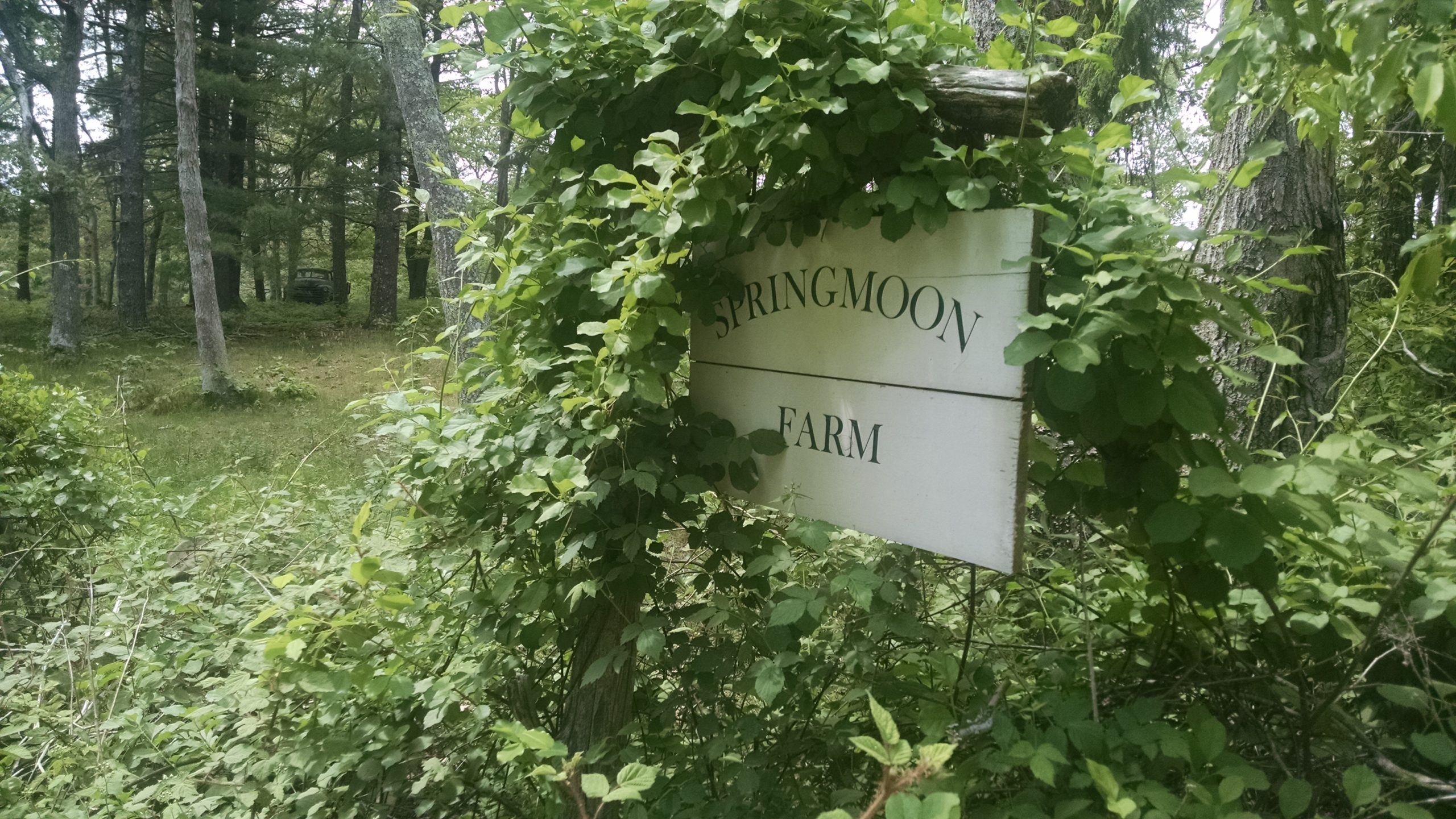 Springmoon Farm