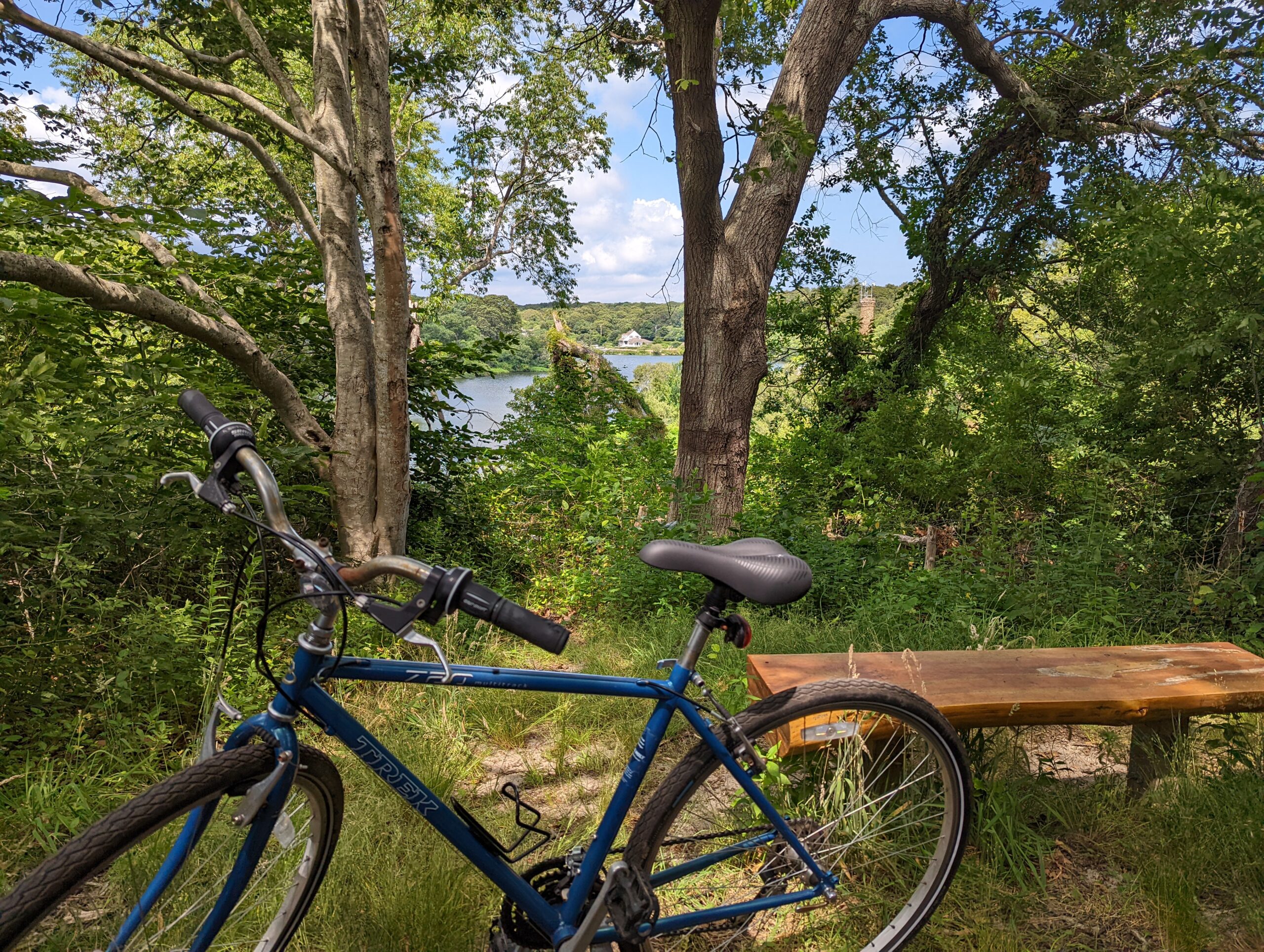 Bike beside bench