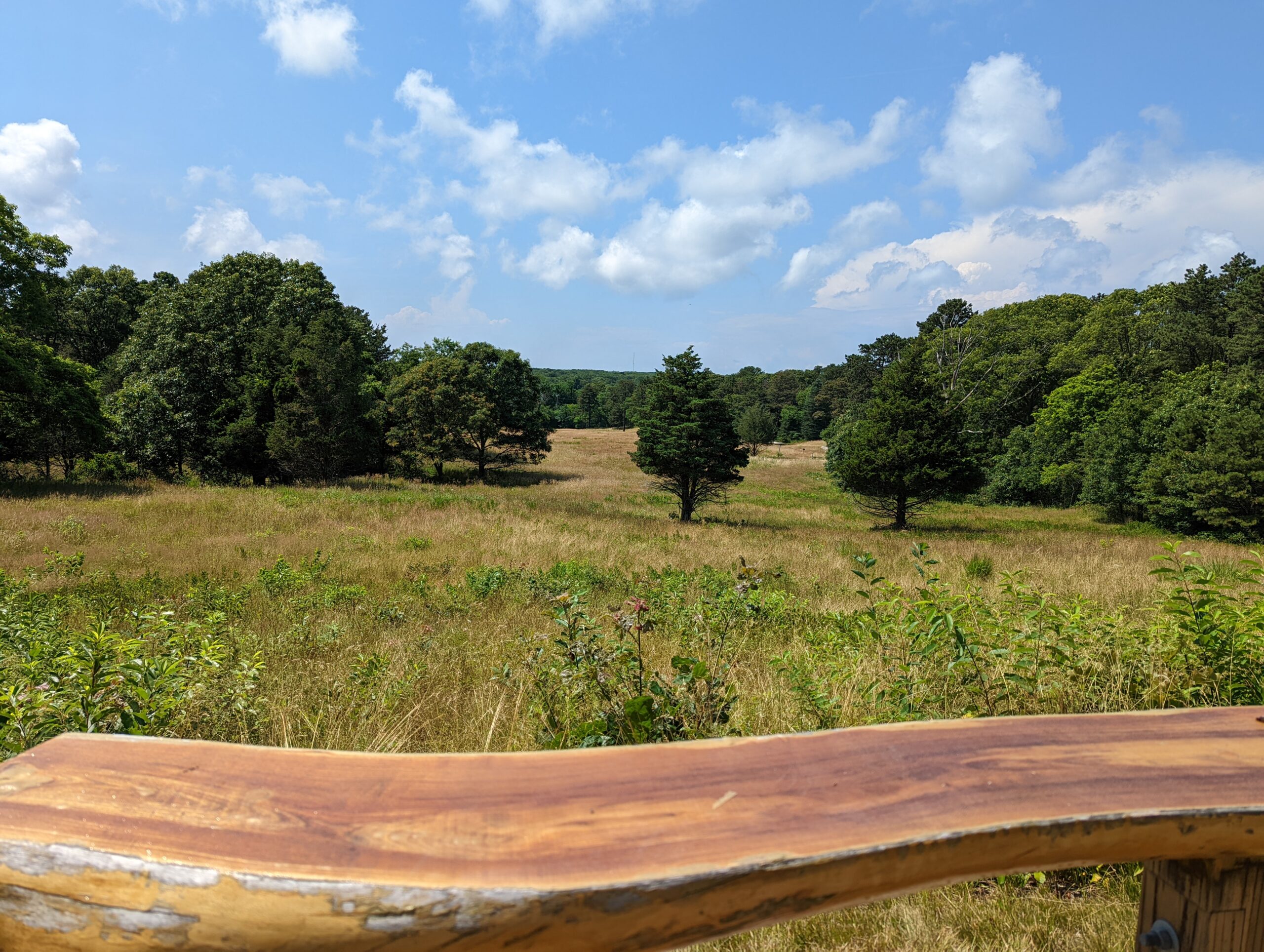 Meadow at Featherstone