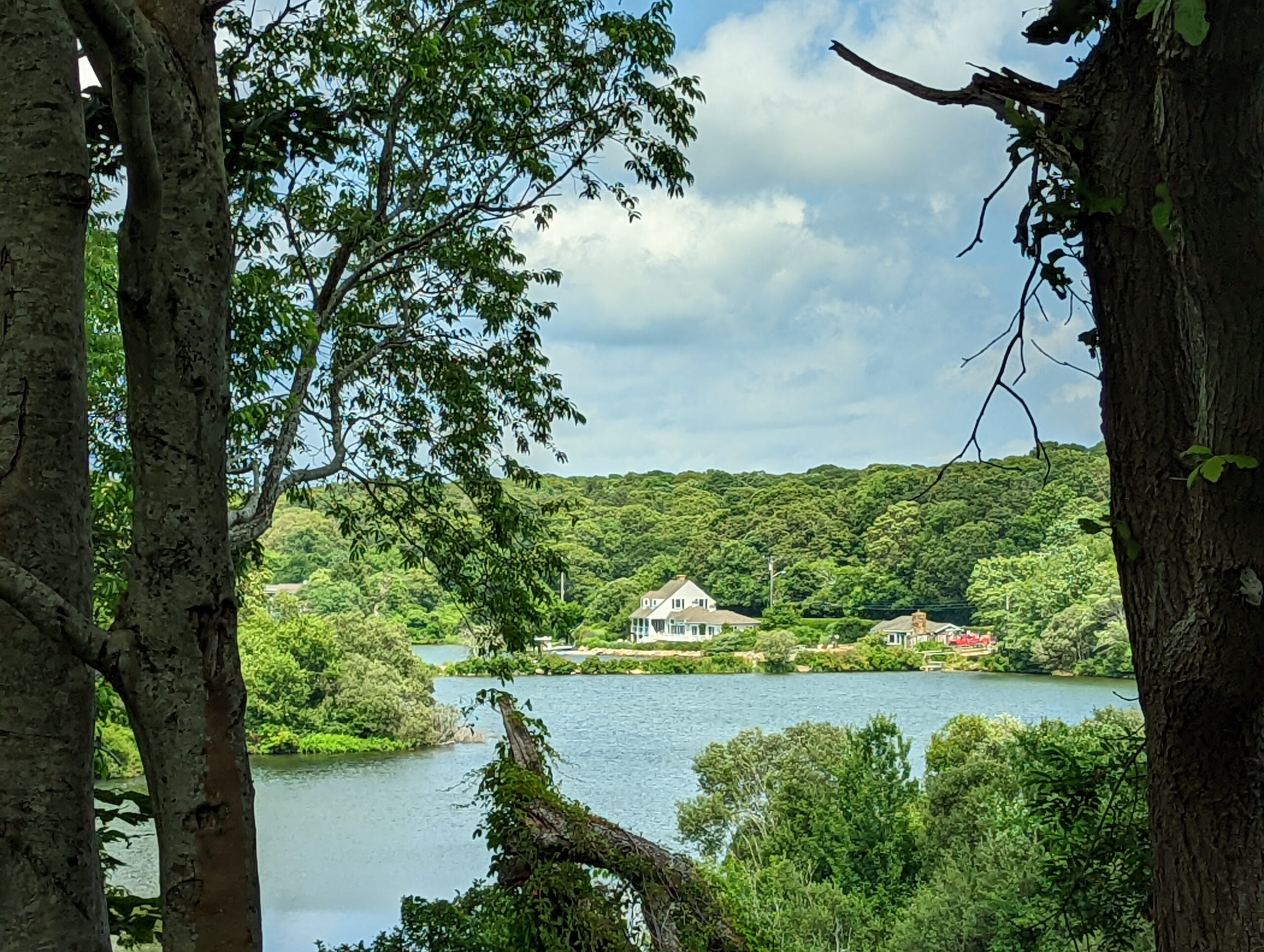 Top of Lagoon viewed through trees