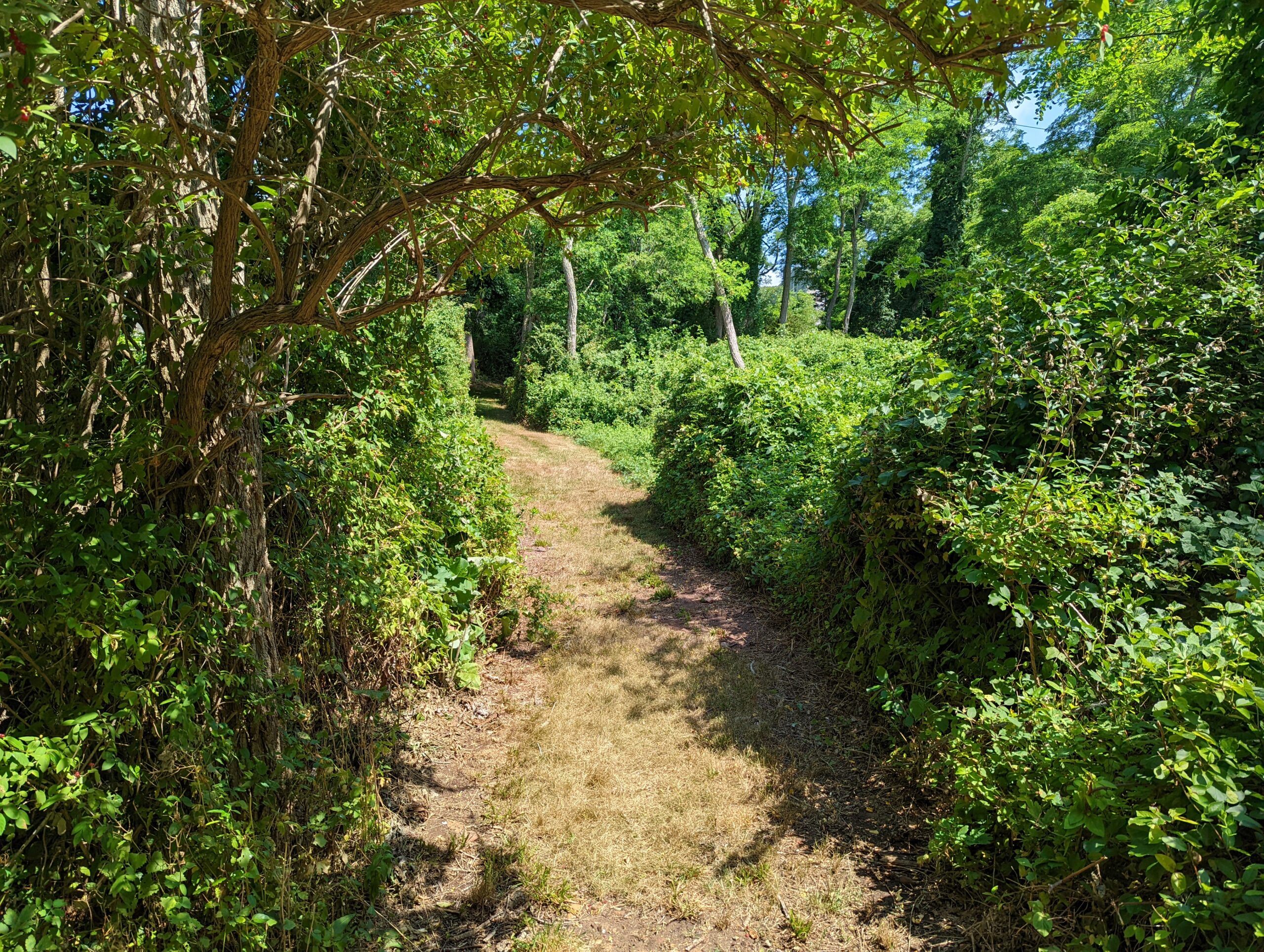 Martha's Vineyard Trail