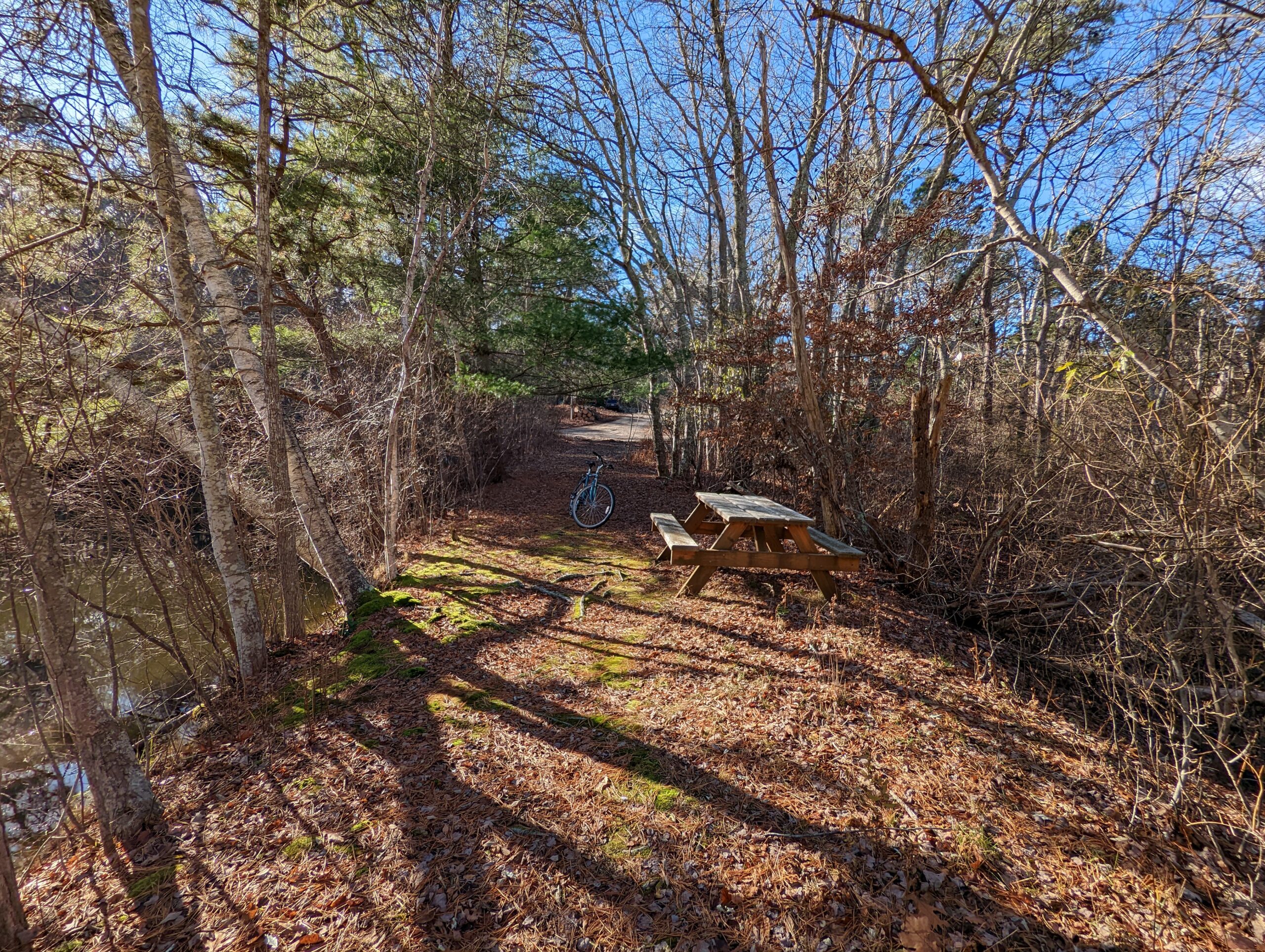 Bench between two ponds